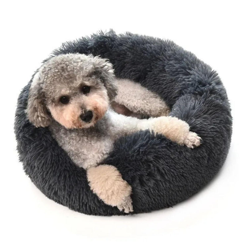 jpg_1500x1500_67632291