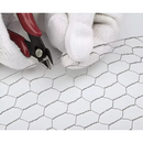 png_1500x1500_66903430