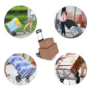 png_1500x1500_64414037