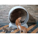 png_1500x1500_67023757