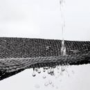 png_1500x1500_65607053