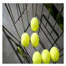 png_1500x1500_67023795