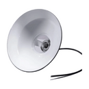 png_1500x1500_65431761