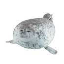 png_1500x1500_67025701