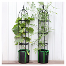 png_1500x1500_66903464