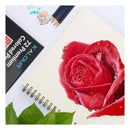 jpg_1500x1500_67166444