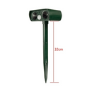 png_1500x1500_65433798