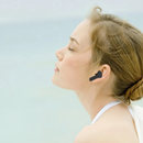 png_1500x1500_65152422