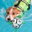 png_1500x1500_67025448