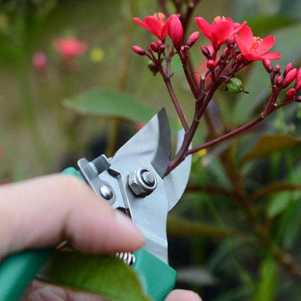 Kit Herramientas Jardinería Acero Rastrillo Tijera Podar