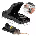 jpg_1500x1500_63986072