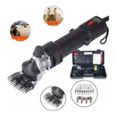 png_1500x1500_67015074