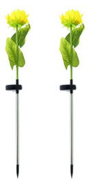 jpg_1500x1500_63977677