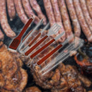 jpg_1500x1500_63974529