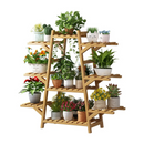 png_1500x1500_67014979