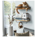 png_1500x1500_67027682