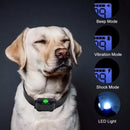 jpg_1500x1500_63982412