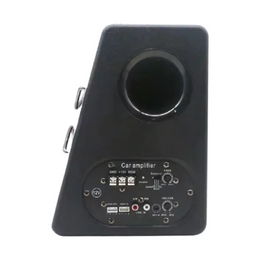 Parlante Subwoofer Plano Automóvil Kit Instalación 500 Watt Negro