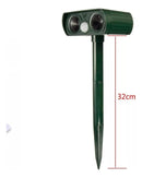 jpg_1500x1500_63980553