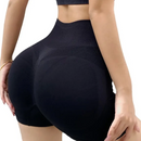 png_1500x1500_66002135