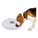 png_1500x1500_67025536