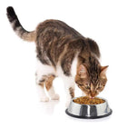 jpg_1500x1500_63979397