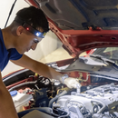 png_1500x1500_66001895