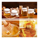 png_1500x1500_67031046