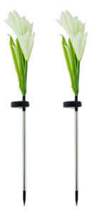 jpg_1500x1500_63979103