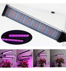 jpg_1500x1500_63984880