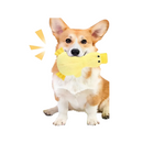 png_1500x1500_67014961