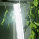 png_1500x1500_65418037