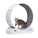 png_1500x1500_67023740