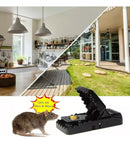 jpg_1500x1500_63986074