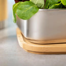 jpg_1500x1500_63986585