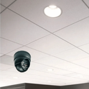 png_1500x1500_65636463