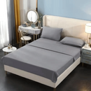 png_1500x1500_65300457