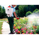 png_1500x1500_64570302