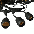 png_1500x1500_65636464