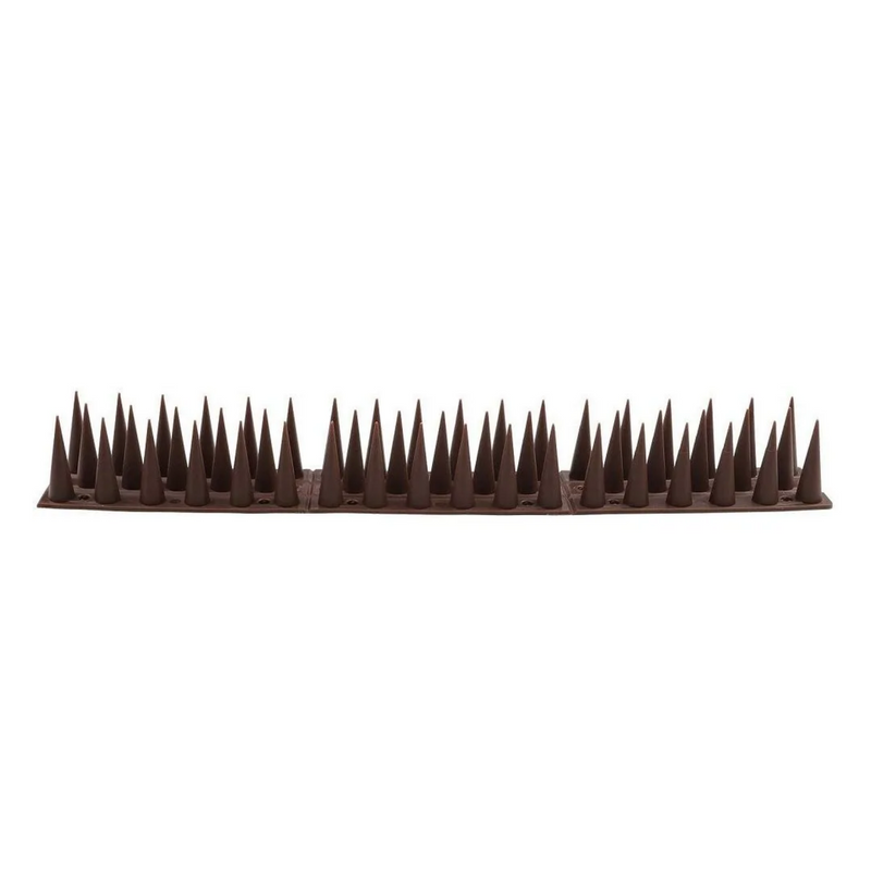png_1500x1500_66002564