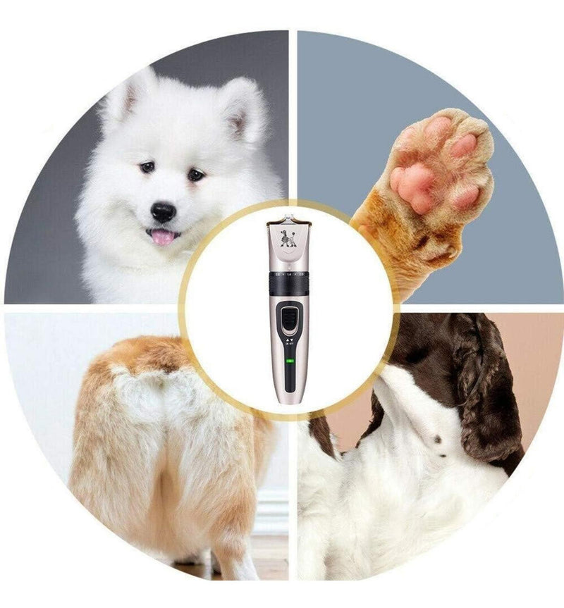 jpg_1500x1500_63985370