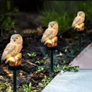 jpg_1500x1500_67539353