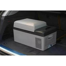 Mini Cooler Refrigerador Portátil 12 V 20 LT