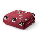 Cubrecama Verano Delgado 1,5 Plazas Perro 1 Funda Rojo