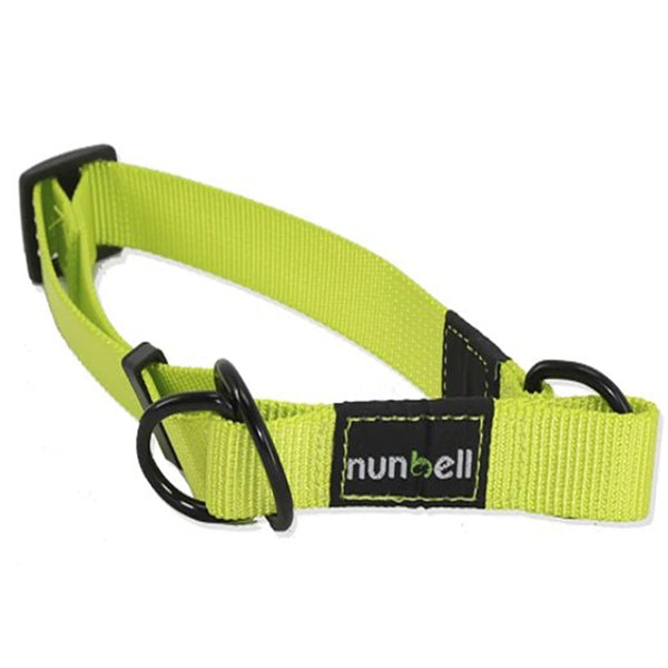 Collar Gato Perro Resistente Ajustable Verde