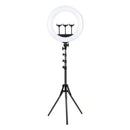 Aro Luz Profesional Gigante 45 CM 3 Soportes Trípode 2.10