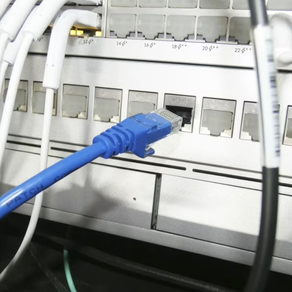 Cable Red Internet 5e 20 MTS Azul