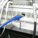 Cable Red Internet 5e 20 MTS Azul